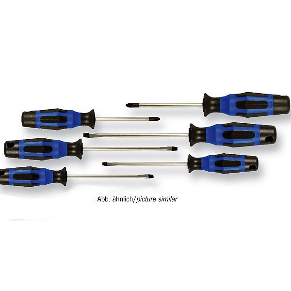 Schraubendreher Satz 6tlg (PZ+Schlitz)