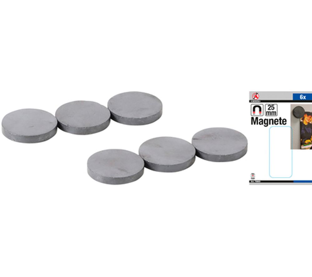 BGS Diy Magnet-Satz | Keramik | Ø 25 mm | 6-tlg.
