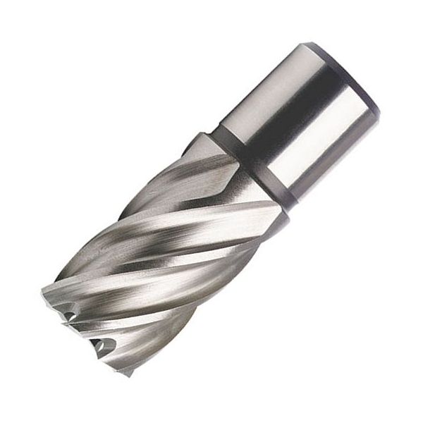 Kernbohrer HSS-Co 8 % 12,0 mm Schnitttiefe 55,0 mm