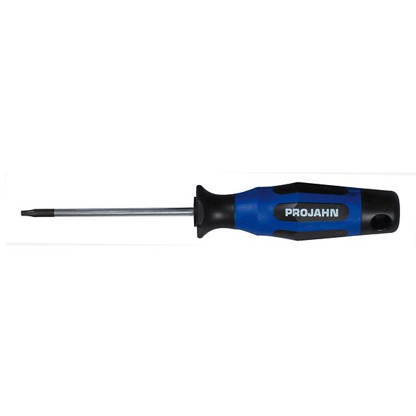 Schraubendreher Torx Nr. 10
