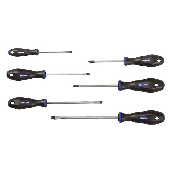 Schraubendreher Satz 6tlg (PH+Schlitz)