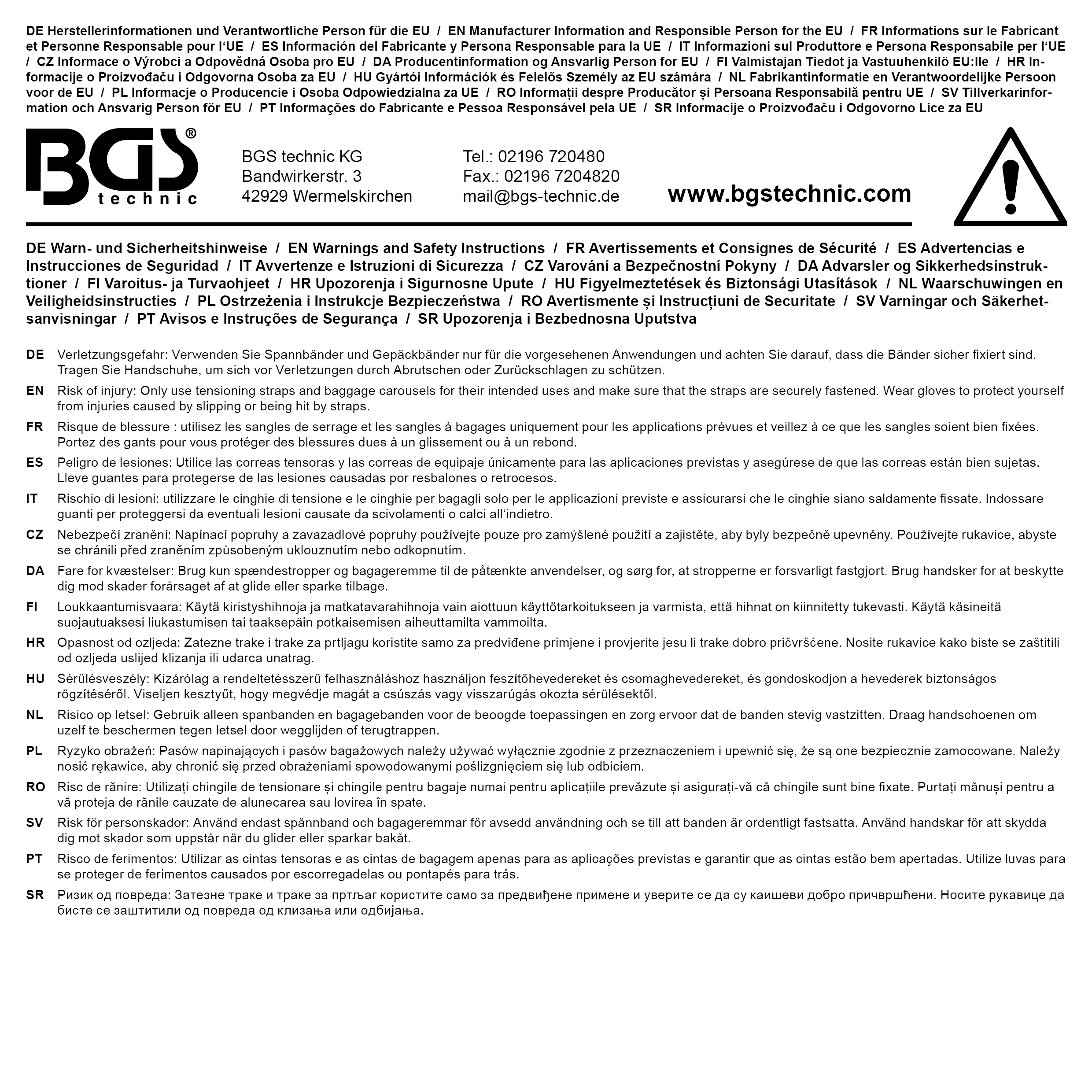 BGS Diy Spannband mit Schnellverschluss | 2,5 m x 25 mm